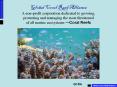 Global Coral Reef Alliance A nonprofit corporation dedicated to growing, protecting and managing the PowerPoint PPT Presentation