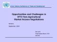 Opportunities and Challenges in WTO NonAgricultural Market Access Negotiations PowerPoint PPT Presentation