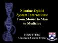New Directions in the Prevention and Treatment of Tobacco Addiction PowerPoint PPT Presentation