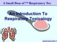 An Introduction To Respiratory Toxicology PowerPoint PPT Presentation