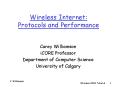 Wireless Internet: Protocols and Performance PowerPoint PPT Presentation