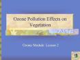 Ozone Pollution Effects on Vegetation PowerPoint PPT Presentation