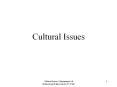 Cultural Issues PowerPoint PPT Presentation