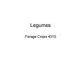 Legumes PowerPoint PPT Presentation