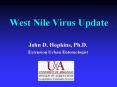 West Nile Virus Update PowerPoint PPT Presentation