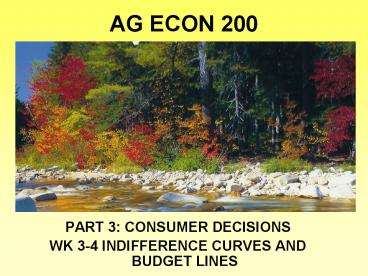 AG ECON 200
