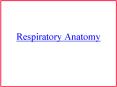 Respiratory Anatomy PowerPoint PPT Presentation
