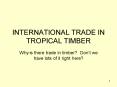 INTERNATIONAL TRADE IN TROPICAL TIMBER PowerPoint PPT Presentation