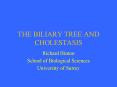 THE BILIARY TREE AND CHOLESTASIS PowerPoint PPT Presentation