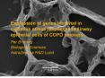 Expression of genes involved in oxidative stress responses in airway epithelial cells of COPD smokers PowerPoint PPT Presentation