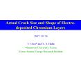 Actual Crack Size and Shape of Electrodeposited Chromium Layers PowerPoint PPT Presentation