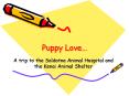 Puppy Love PowerPoint PPT Presentation