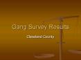 Gang Survey Results PowerPoint PPT Presentation