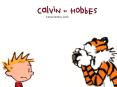 Metal Hobbes birth PowerPoint PPT Presentation
