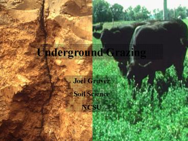 Underground Grazing