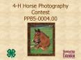 4H Horse Photography Contest PPB50004.00 PowerPoint PPT Presentation