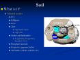 Soil PowerPoint PPT Presentation