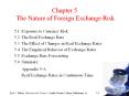 Chapter 5 The Nature of Foreign Exchange Risk PowerPoint PPT Presentation