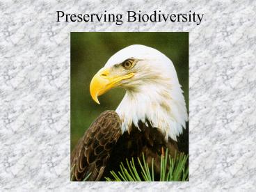 Preserving Biodiversity