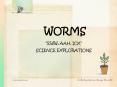 WORMS PowerPoint PPT Presentation