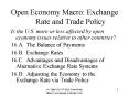Open Economy Macro: Exchange Rate and Trade Policy PowerPoint PPT Presentation