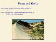 Dunes and Slacks