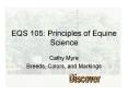 EQS 105: Principles of Equine Science PowerPoint PPT Presentation