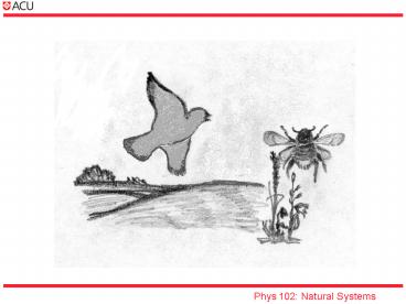 Phys 102: Natural Systems