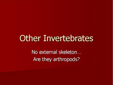 Other Invertebrates