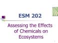 ESM 202 PowerPoint PPT Presentation