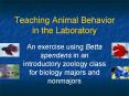 Teaching Animal Behavior in the Laboratory PowerPoint PPT Presentation