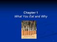 Chapter 1 What You Eat and Why PowerPoint PPT Presentation