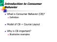 Introduction to Consumer Behavior PowerPoint PPT Presentation