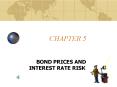 BOND PRICES AND INTEREST RATE RISK