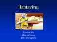 Hantavirus PowerPoint PPT Presentation