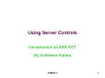 Using Server Controls PowerPoint PPT Presentation