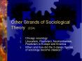 Other Strands of Sociological Theory (2/24) PowerPoint PPT Presentation