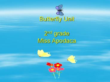 Butterfly Unit 2nd grade Miss Apodaca