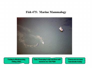 Fish 475: Marine Mammalogy