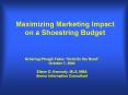 Maximizing Marketing Impact on a Shoestring Budget PowerPoint PPT Presentation