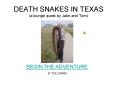 DEATH SNAKES IN TEXAS a lounge quest by Jake and Tom PowerPoint PPT Presentation