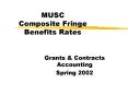 MUSC Composite Fringe Benefits Rates PowerPoint PPT Presentation
