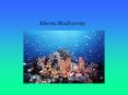 Marine Biodiversity PowerPoint PPT Presentation