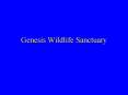 Genesis Wildlife Sanctuary PowerPoint PPT Presentation