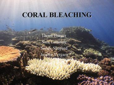 CORAL BLEACHING