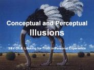 Conceptual and Perceptual