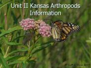 Unit%20II%20Kansas%20Arthropods%20Information