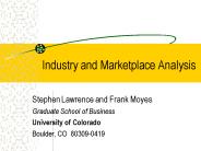 Industry and Marketplace Analysis