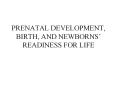 PRENATAL DEVELOPMENT, BIRTH, AND NEWBORNS READINESS FOR LIFE PowerPoint PPT Presentation