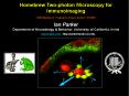 Homebrew Two-photon Microscopy for Immunoimaging PowerPoint PPT Presentation